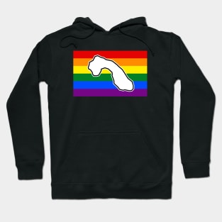 Cormorant Island BC - Rainbow Pride Flag - LGBT Colours - CormorantIsland Hoodie